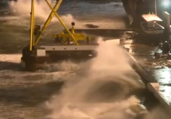 salvadorcvxcvxcvcxvvv