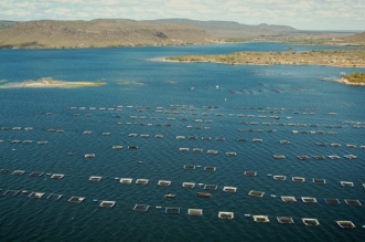 317A7E35-0A3B-4BCD-BE80-5B3947D0F099