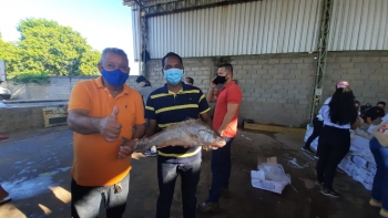 590da097-289b-4bf4-91ea-9458525d47bb