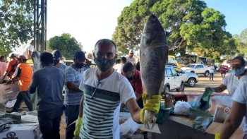 8fcc726c-9fb5-484b-ae8c-b1c8cd07a2b3