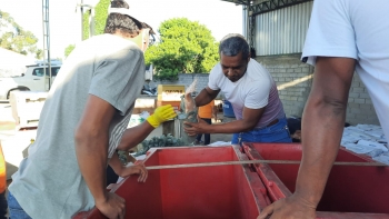 f65305aa-7376-44ed-bce1-3f340b7bb646